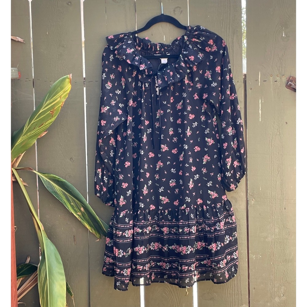 NWT Anna Sui Old Navy Floral Chiffon Dress Small Black Ruffle Collab Boho Lined